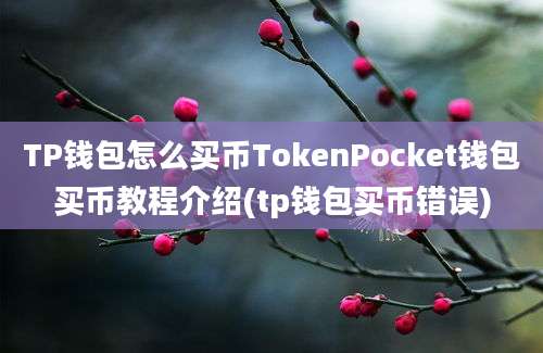 TP钱包怎么买币TokenPocket钱包买币教程介绍(tp钱包买币错误)