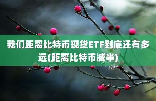 我们距离比特币现货ETF到底还有多远(距离比特币减半)