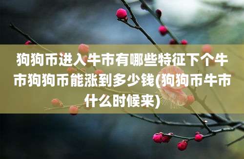 狗狗币进入牛市有哪些特征下个牛市狗狗币能涨到多少钱(狗狗币牛市什么时候来)