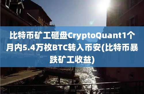 比特币矿工砸盘CryptoQuant1个月内5.4万枚BTC转入币安(比特币暴跌矿工收益)