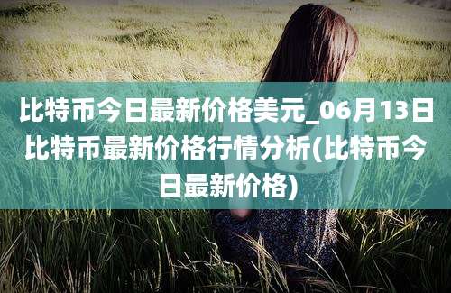 比特币今日最新价格美元_06月13日比特币最新价格行情分析(比特币今日最新价格)