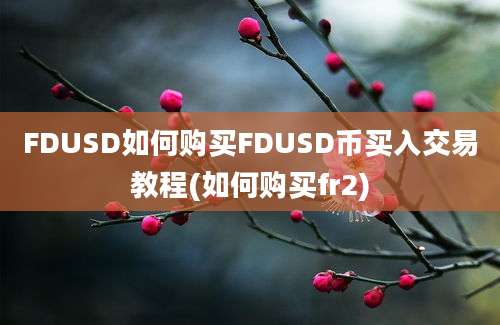 FDUSD如何购买FDUSD币买入交易教程(如何购买fr2)