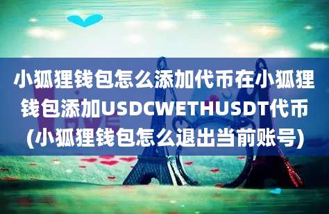 小狐狸钱包怎么添加代币在小狐狸钱包添加USDCWETHUSDT代币(小狐狸钱包怎么退出当前账号)