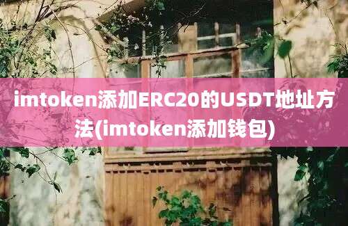 imtoken添加ERC20的USDT地址方法(imtoken添加钱包)