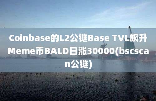 Coinbase的L2公链Base TVL飙升Meme币BALD日涨30000(bscscan公链)