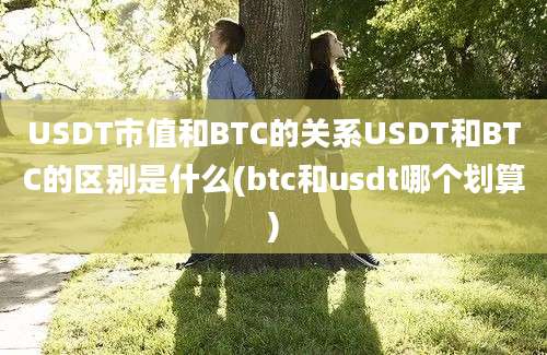 USDT市值和BTC的关系USDT和BTC的区别是什么(btc和usdt哪个划算)