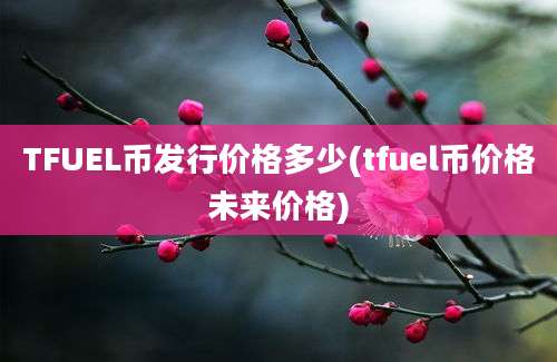 TFUEL币发行价格多少(tfuel币价格未来价格)