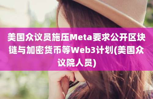 美国众议员施压Meta要求公开区块链与加密货币等Web3计划(美国众议院人员)