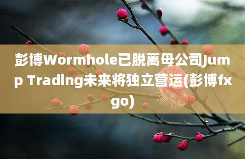 彭博Wormhole已脱离母公司Jump Trading未来将独立营运(彭博fxgo)