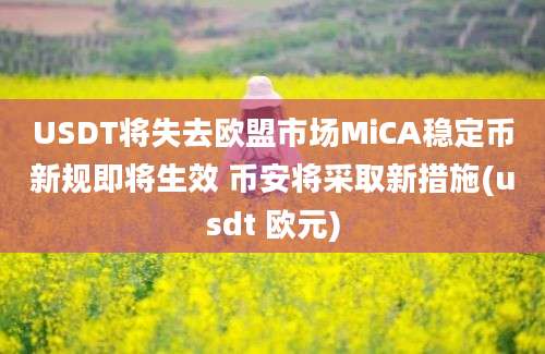 USDT将失去欧盟市场MiCA稳定币新规即将生效 币安将采取新措施(usdt 欧元)