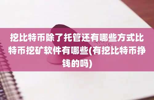 挖比特币除了托管还有哪些方式比特币挖矿软件有哪些(有挖比特币挣钱的吗)