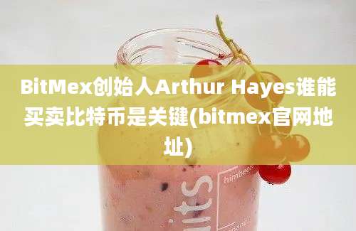 BitMex创始人Arthur Hayes谁能买卖比特币是关键(bitmex官网地址)