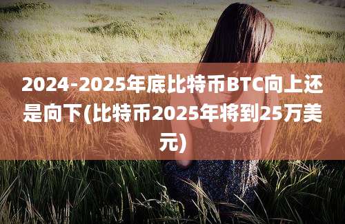 2024-2025年底比特币BTC向上还是向下(比特币2025年将到25万美元)