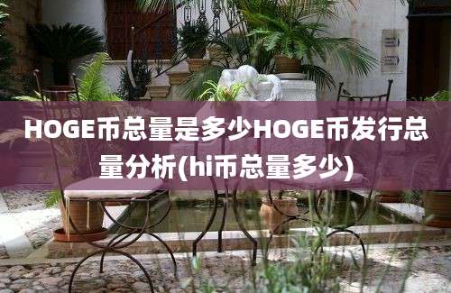 HOGE币总量是多少HOGE币发行总量分析(hi币总量多少)