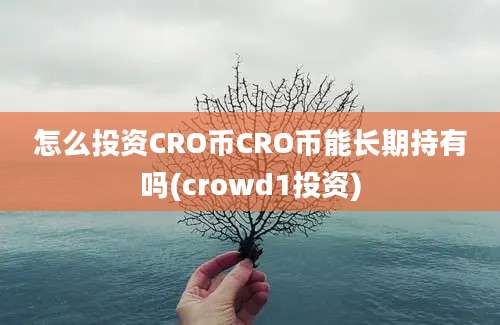 怎么投资CRO币CRO币能长期持有吗(crowd1投资)