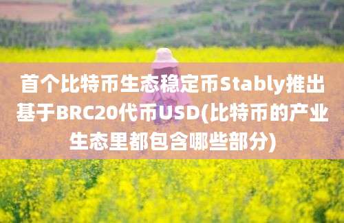 首个比特币生态稳定币Stably推出基于BRC20代币USD(比特币的产业生态里都包含哪些部分)