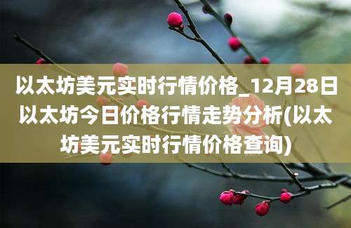 以太坊美元实时行情价格_12月28日以太坊今日价格行情走势分析(以太坊美元实时行情价格查询)