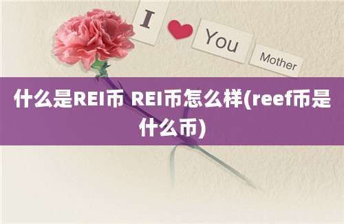 什么是REI币 REI币怎么样(reef币是什么币)