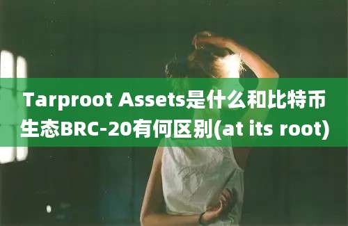 Tarproot Assets是什么和比特币生态BRC-20有何区别(at its root)