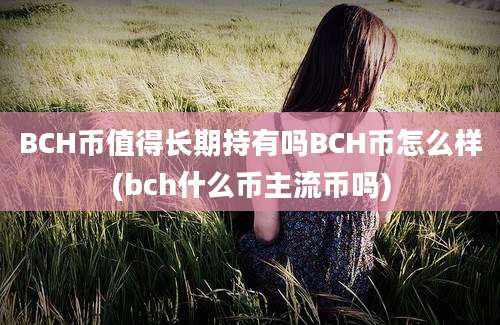 BCH币值得长期持有吗BCH币怎么样(bch什么币主流币吗)