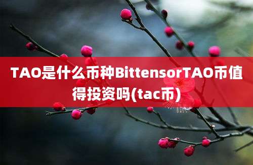 TAO是什么币种BittensorTAO币值得投资吗(tac币)