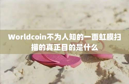 Worldcoin不为人知的一面虹膜扫描的真正目的是什么