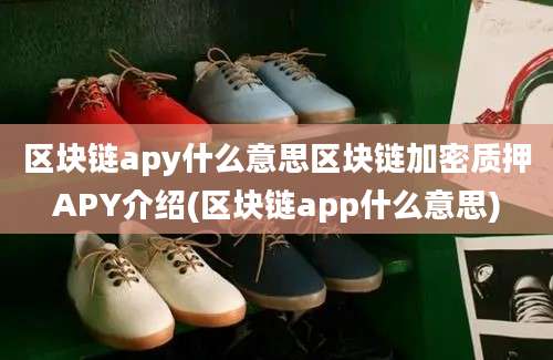 区块链apy什么意思区块链加密质押APY介绍(区块链app什么意思)