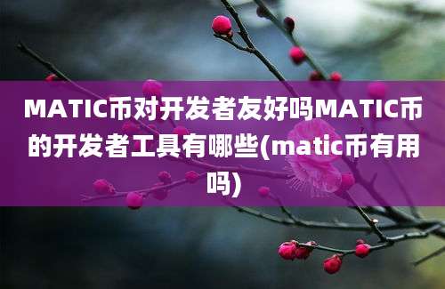 MATIC币对开发者友好吗MATIC币的开发者工具有哪些(matic币有用吗)