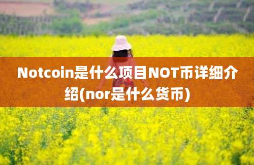 Notcoin是什么项目NOT币详细介绍(nor是什么货币)