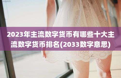 2023年主流数字货币有哪些十大主流数字货币排名(2033数字意思)