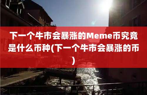 下一个牛市会暴涨的Meme币究竟是什么币种(下一个牛市会暴涨的币)