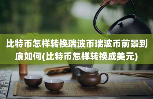 比特币怎样转换瑞波币瑞波币前景到底如何(比特币怎样转换成美元)