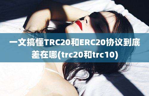 一文搞懂TRC20和ERC20协议到底差在哪(trc20和trc10)