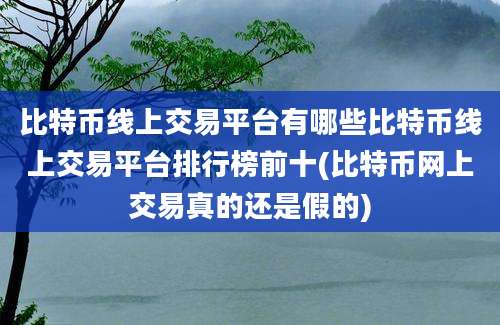 比特币线上交易平台有哪些比特币线上交易平台排行榜前十(比特币网上交易真的还是假的)