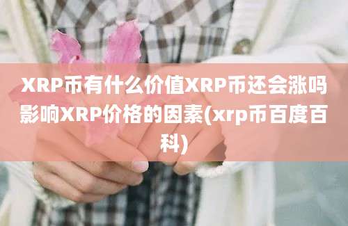 XRP币有什么价值XRP币还会涨吗影响XRP价格的因素(xrp币百度百科)