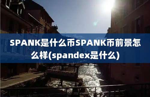 SPANK是什么币SPANK币前景怎么样(spandex是什么)