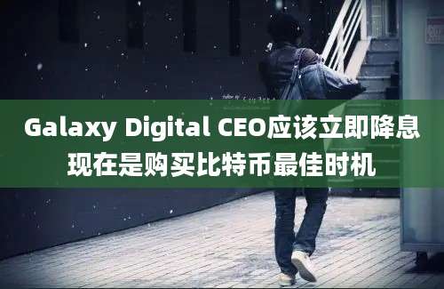 Galaxy Digital CEO应该立即降息现在是购买比特币最佳时机