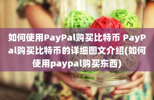 如何使用PayPal购买比特币 PayPal购买比特币的详细图文介绍(如何使用paypal购买东西)