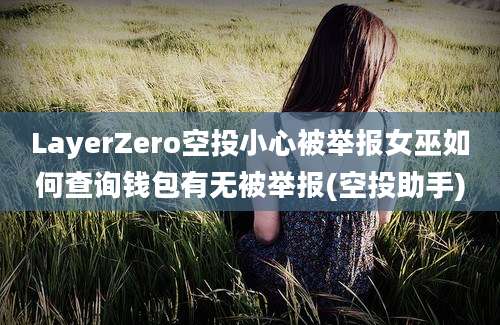 LayerZero空投小心被举报女巫如何查询钱包有无被举报(空投助手)