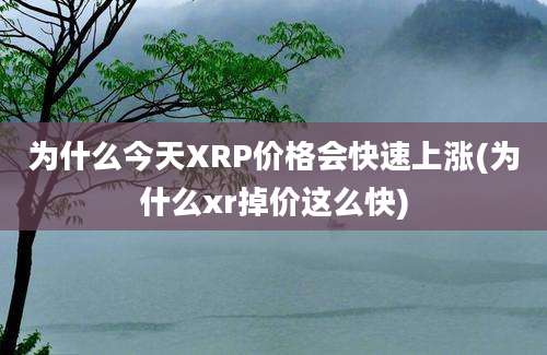 为什么今天XRP价格会快速上涨(为什么xr掉价这么快)