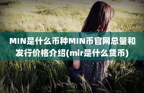 MIN是什么币种MIN币官网总量和发行价格介绍(mir是什么货币)