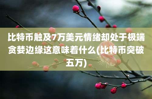 比特币触及7万美元情绪却处于极端贪婪边缘这意味着什么(比特币突破五万)