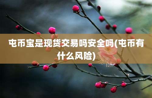 屯币宝是现货交易吗安全吗(屯币有什么风险)