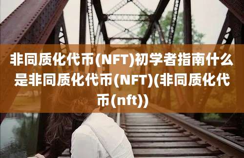 非同质化代币(NFT)初学者指南什么是非同质化代币(NFT)(非同质化代币(nft))