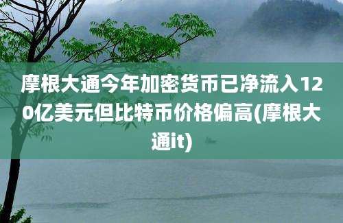 摩根大通今年加密货币已净流入120亿美元但比特币价格偏高(摩根大通it)