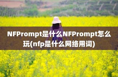 NFPrompt是什么NFPrompt怎么玩(nfp是什么网络用词)