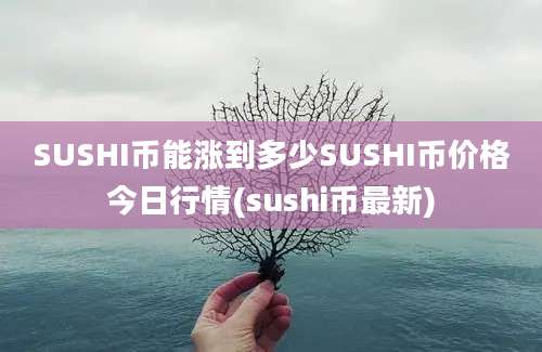 SUSHI币能涨到多少SUSHI币价格今日行情(sushi币最新)