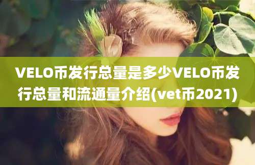 VELO币发行总量是多少VELO币发行总量和流通量介绍(vet币2021)