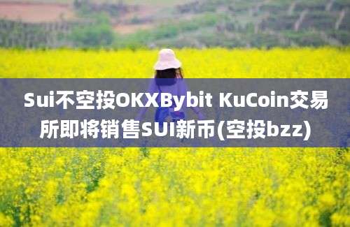 Sui不空投OKXBybit KuCoin交易所即将销售SUI新币(空投bzz)