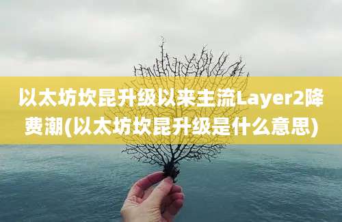 以太坊坎昆升级以来主流Layer2降费潮(以太坊坎昆升级是什么意思)